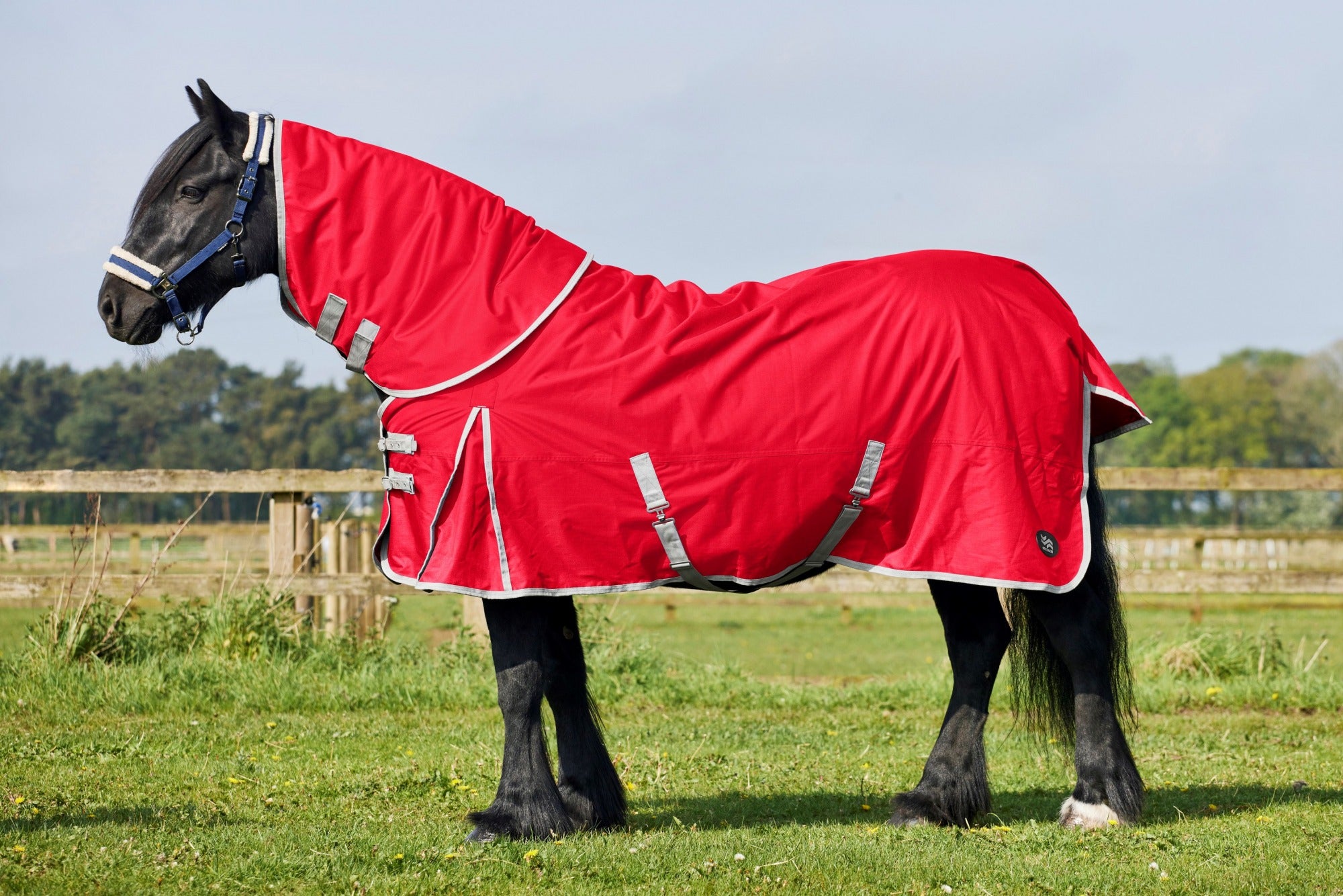 Firefoot Detachable Neck 200G Turnout Rug