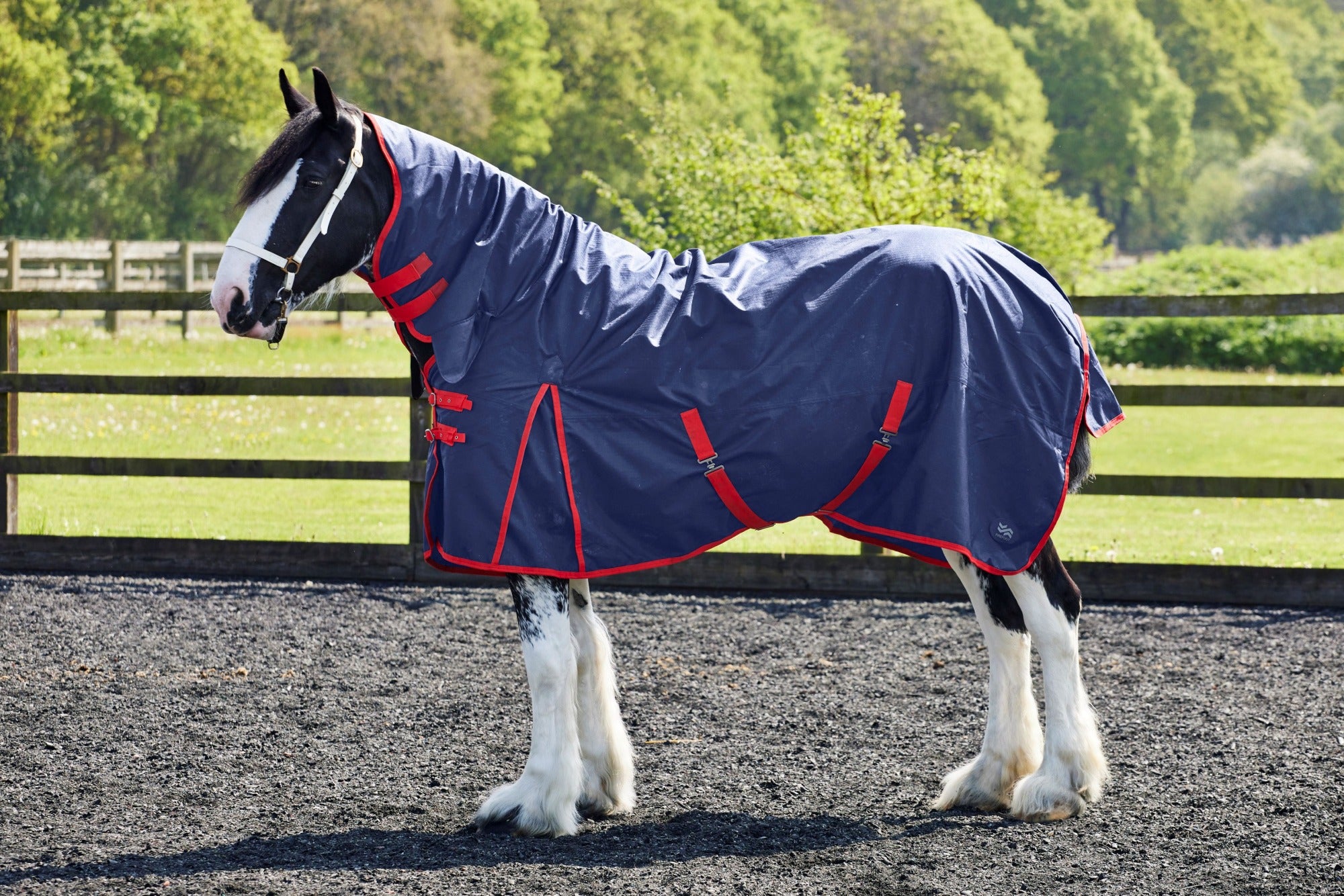 Firefoot Fixed Neck 100G Turnout Rug