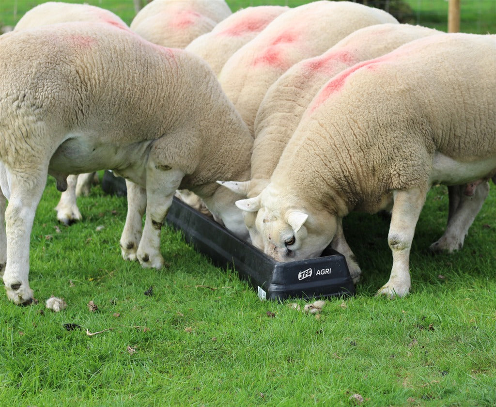 JFC Ground Feed Trough - 6'