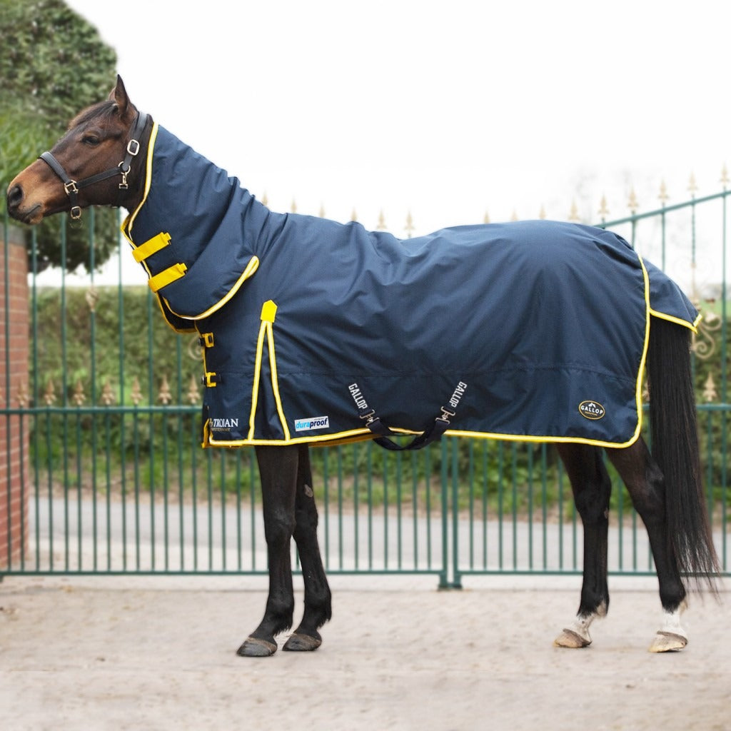Gallop Trojan Duraproof Combo Turnout 200G