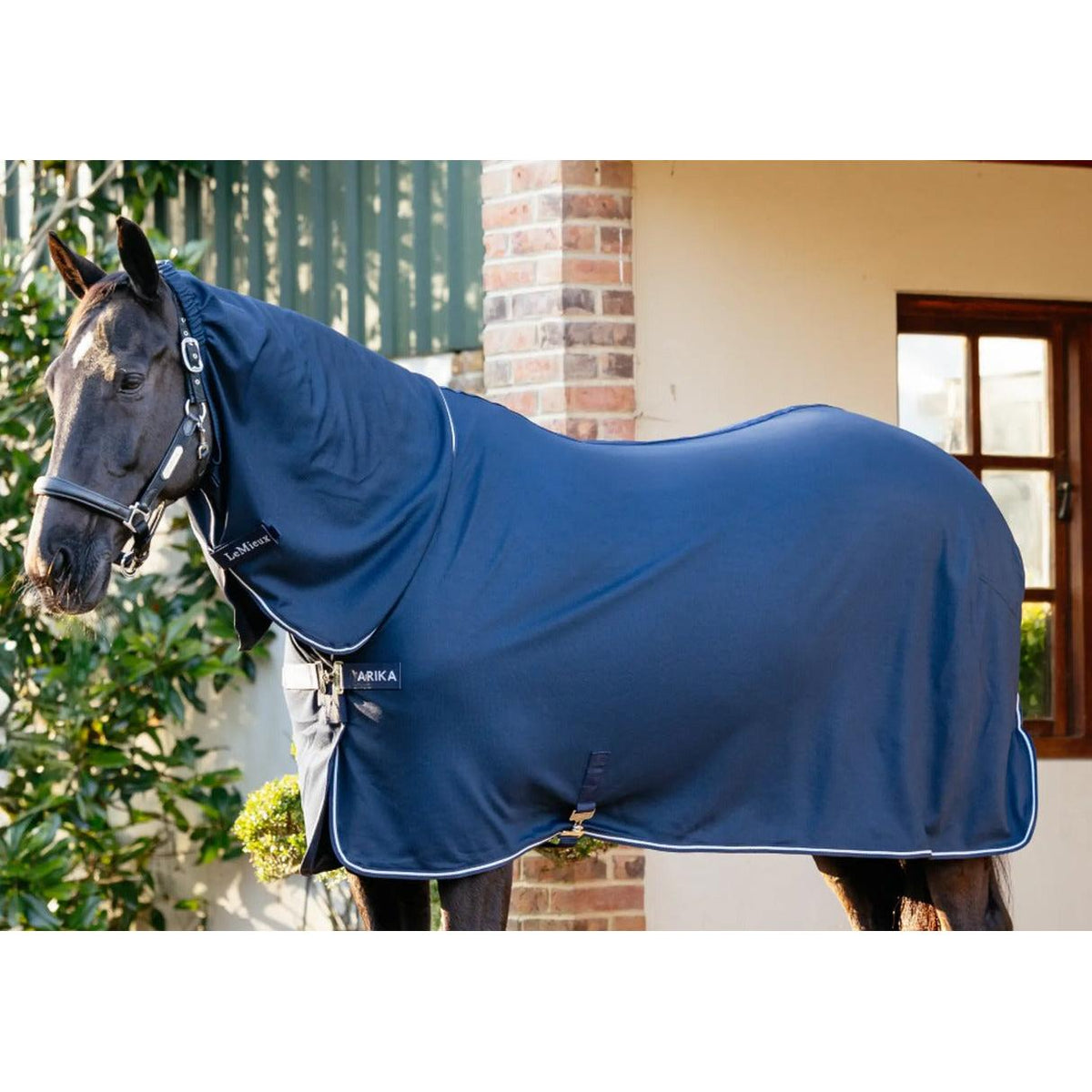 Lemieux Arika Dryease Rug , Navy