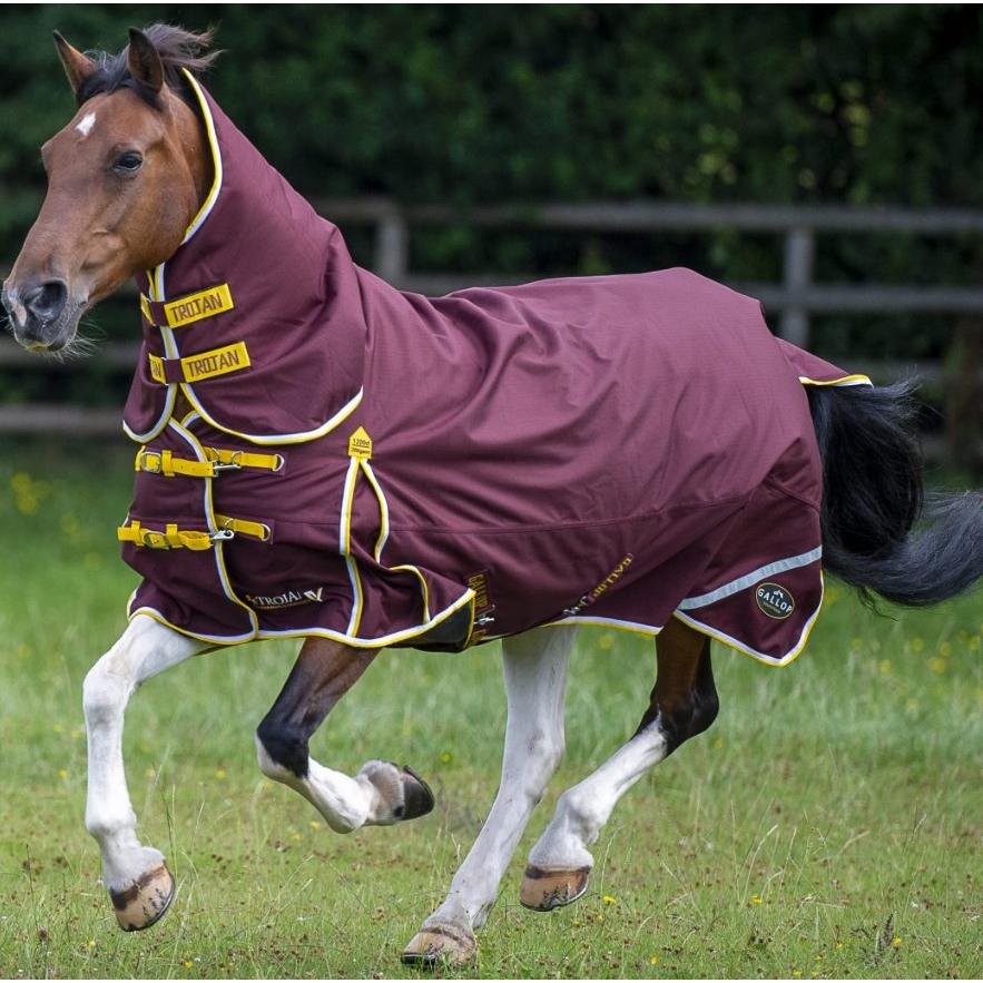 Gallop TROJAN Xtra Duraproof 200g Turnout Combo
