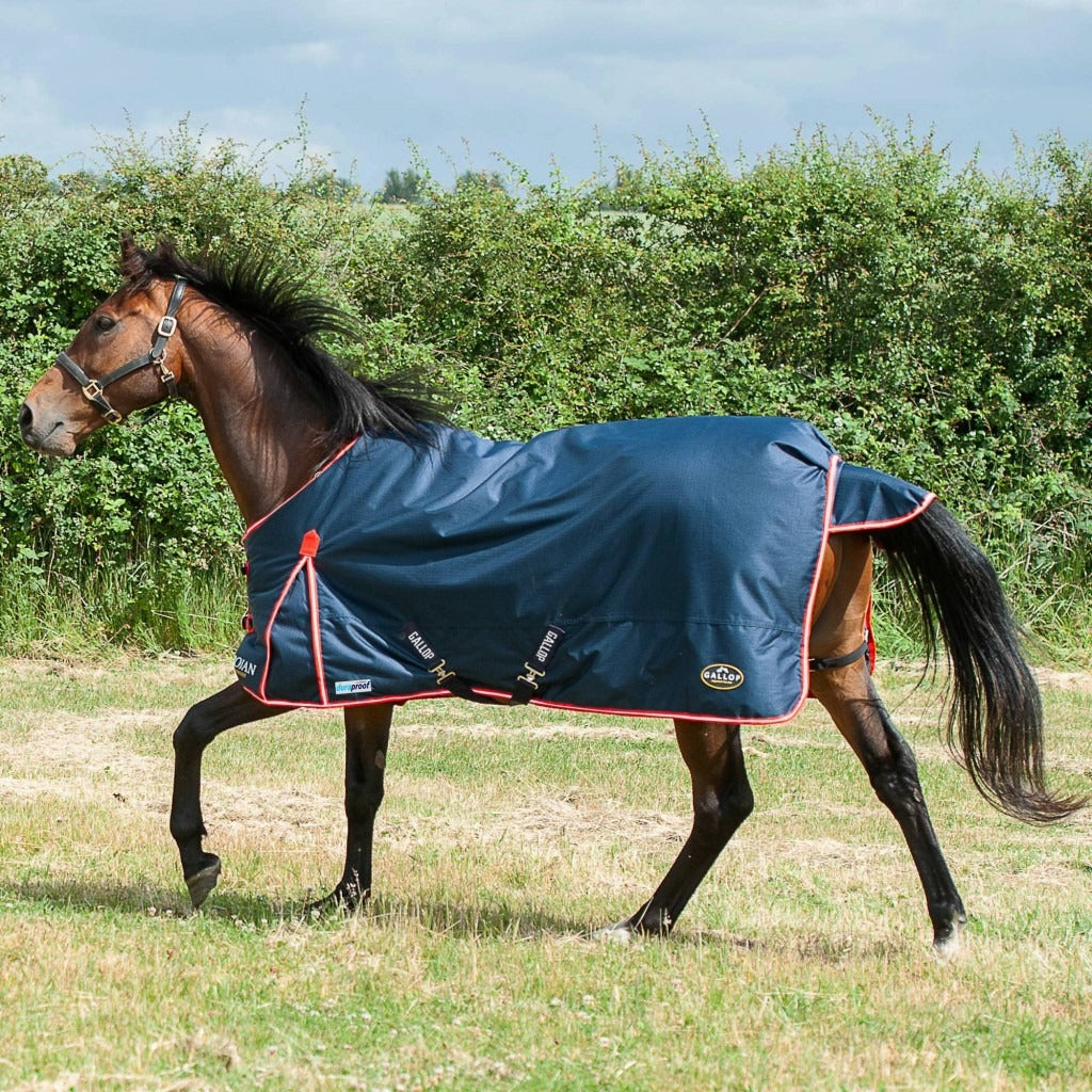 Gallop Trojan Duraproof 200G 5 - Point Standard Neck Turnout