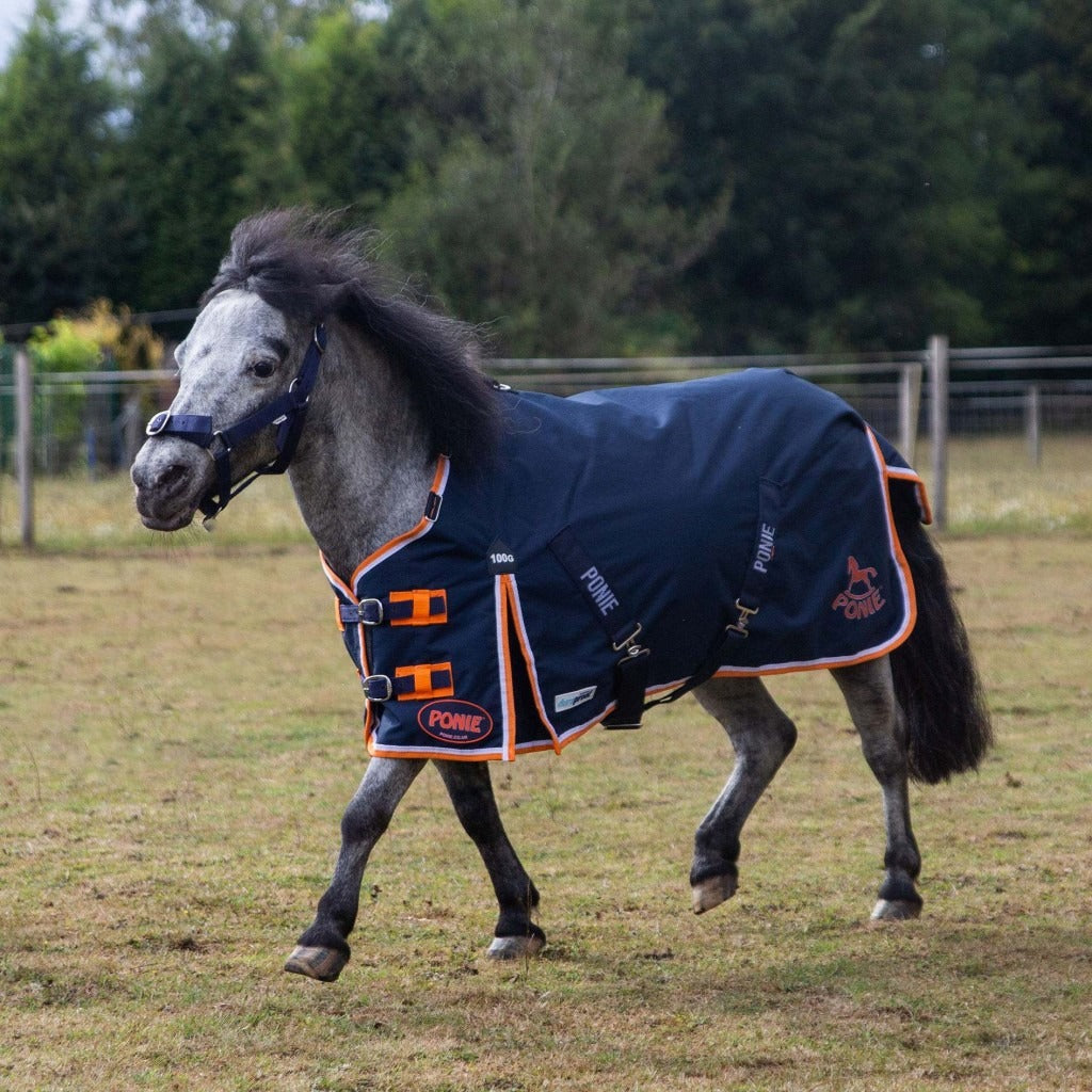 Gallop Duraproof 100G Ponie 5 - Point Standard Neck Turnout