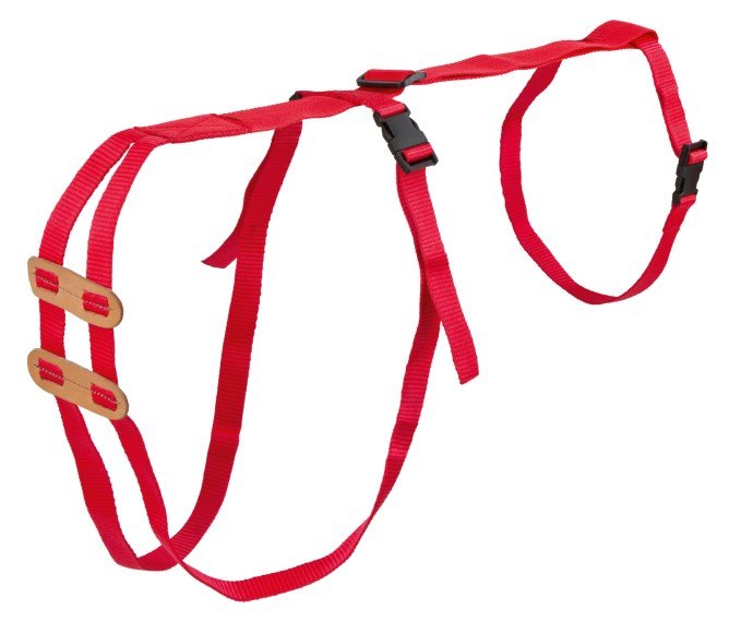 Prolapse Standard Harness