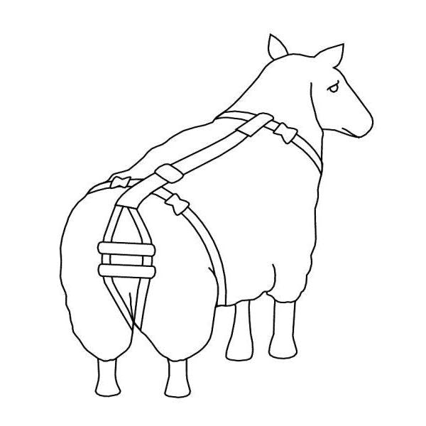 Prolapse Standard Harness