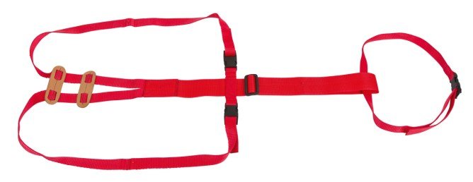 Prolapse Standard Harness