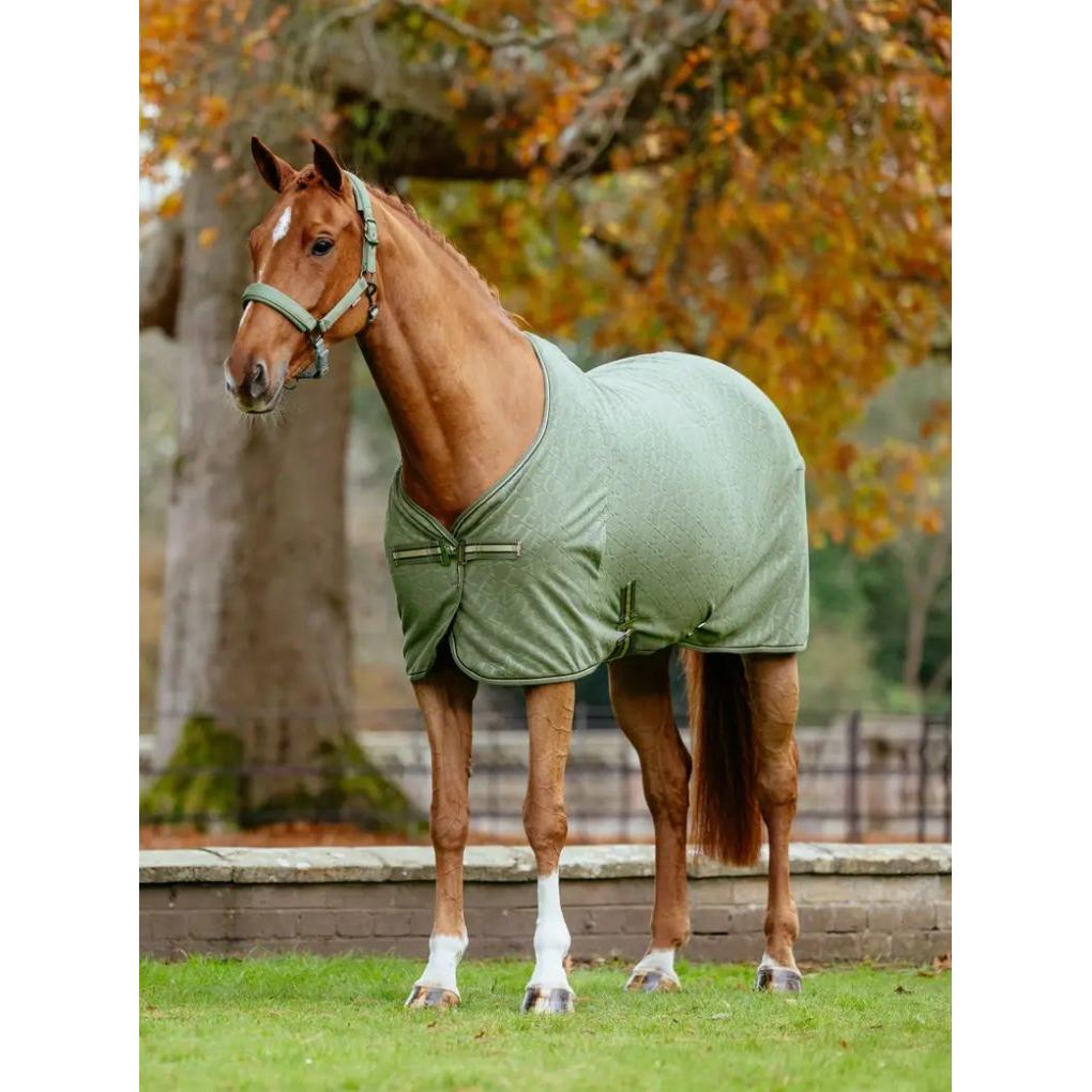 Lemieux Arika Monogram Fleece Rug , Rosemary
