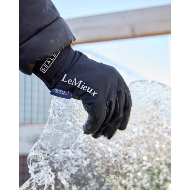 Lemieux SealSkinz Waterproof Gloves Black