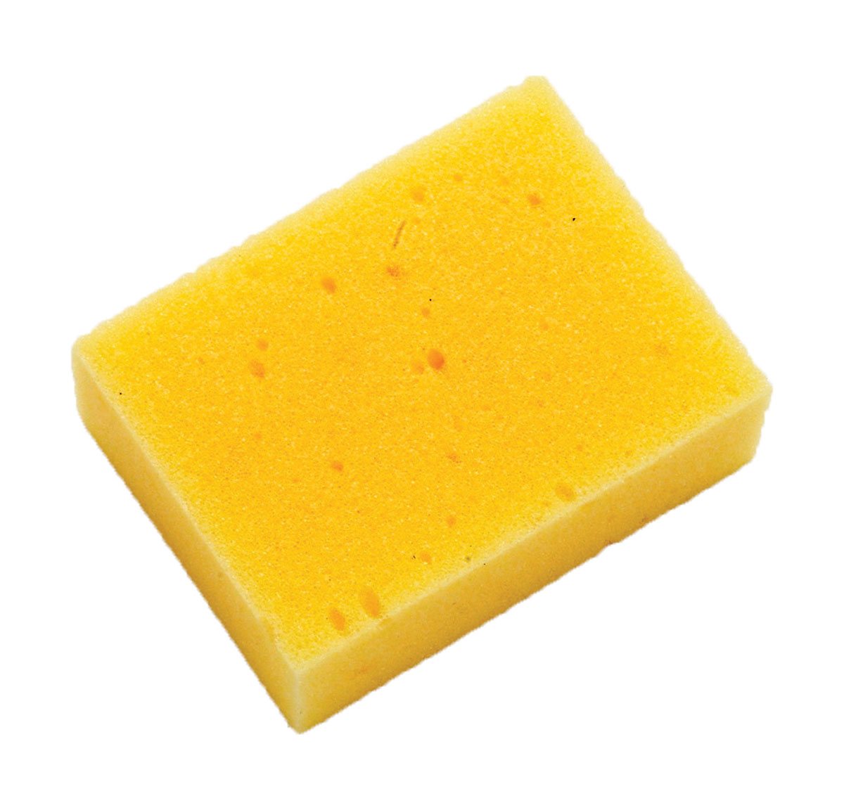 Economy Sponge Large