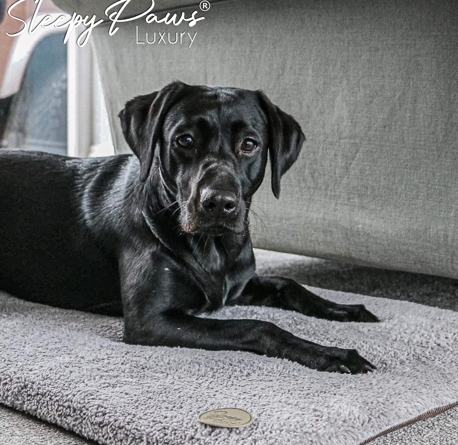 Ancol Sleepy Paws Flat Pad