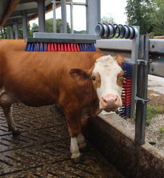 Kerbl Spring Loaded Cattle Brush