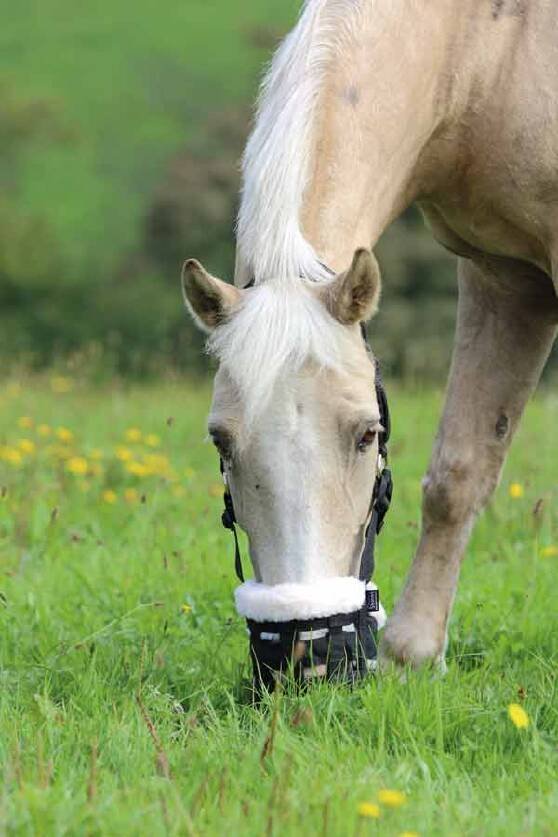 Shires Deluxe Fur Lined Nylon Grazing Muzzle