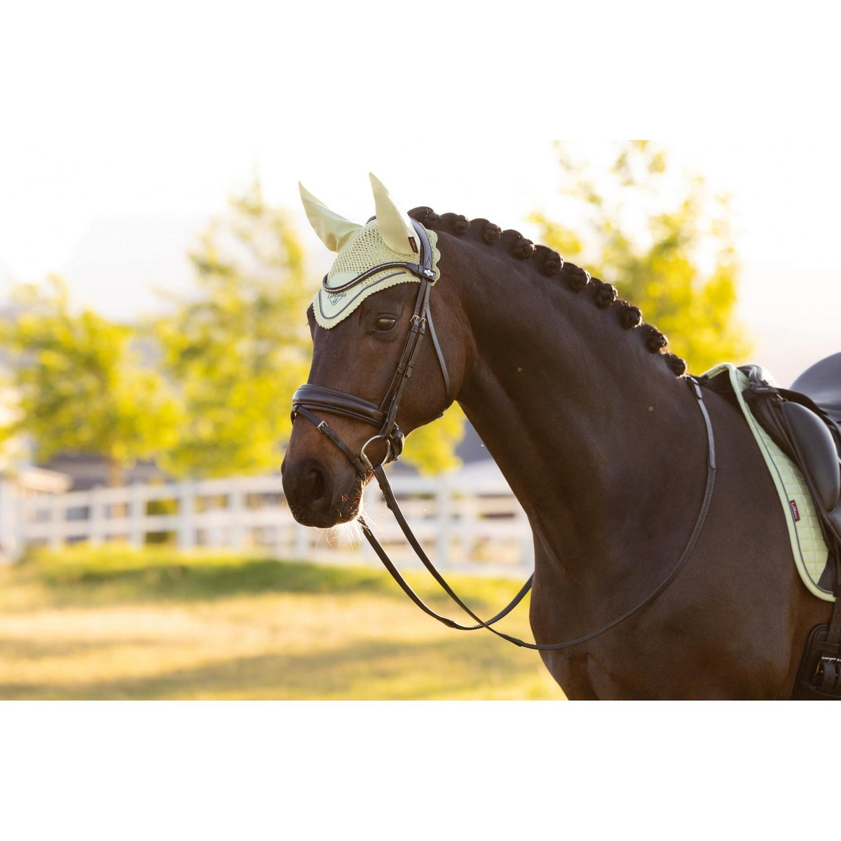 LeMieux Classic Fly Hood