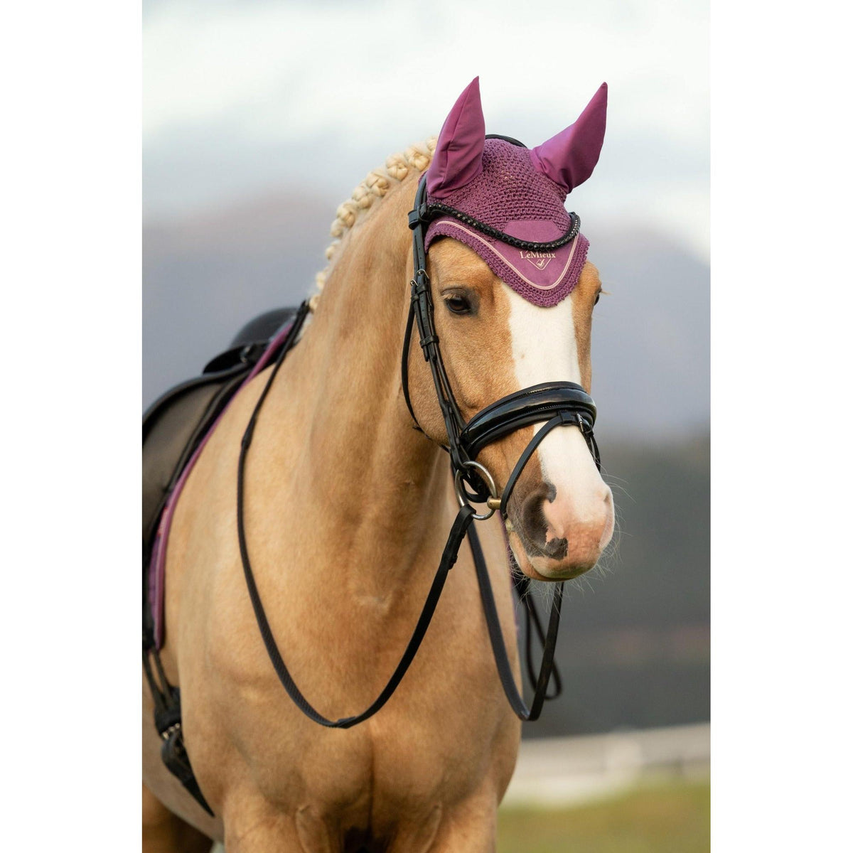 LeMieux Classic Fly Hood