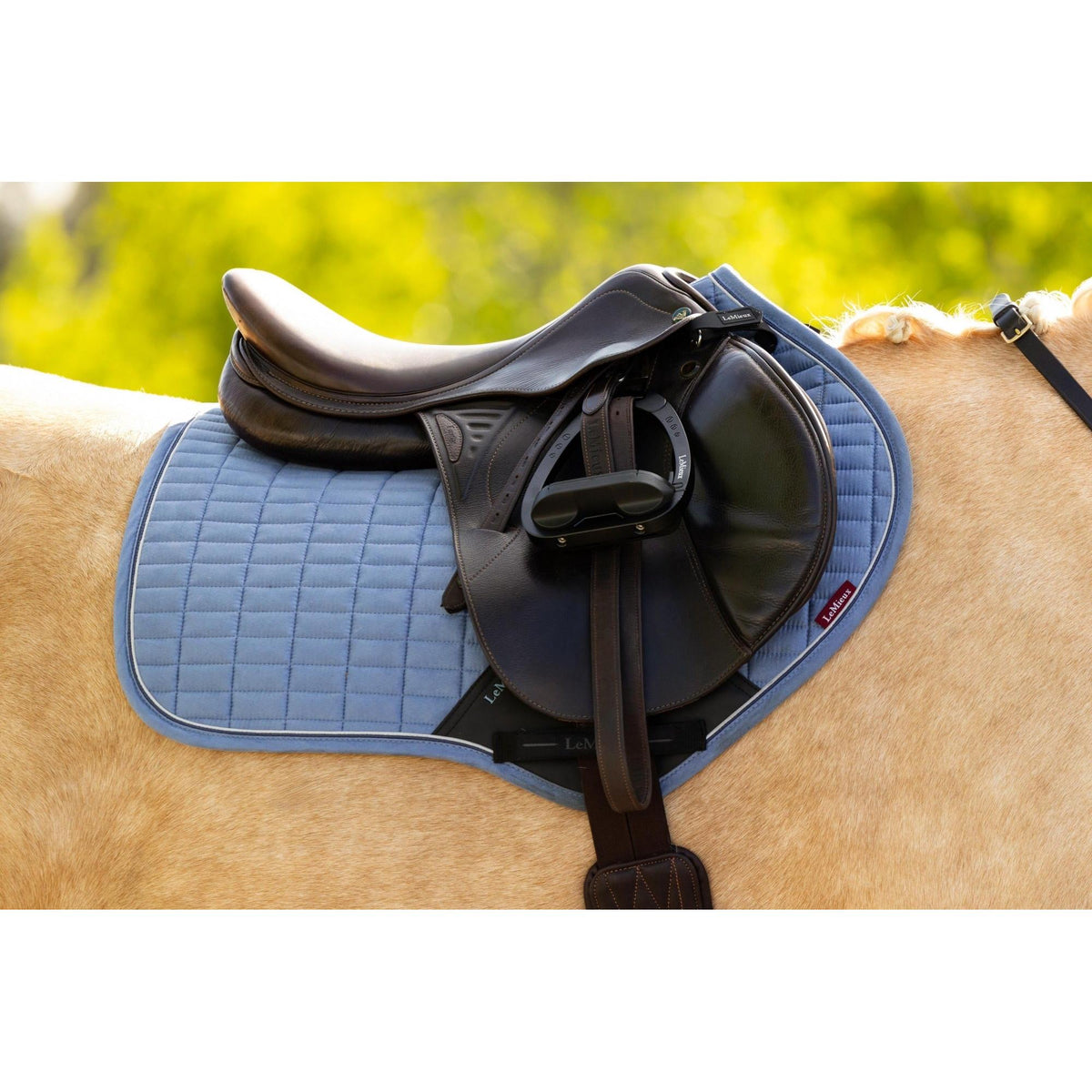 LeMieux Suede Close Contact