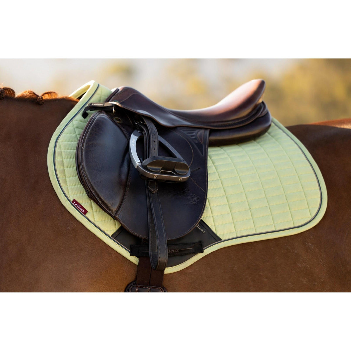 LeMieux Suede Close Contact