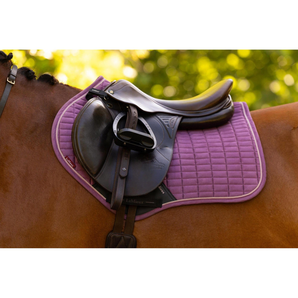 LeMieux Suede Close Contact