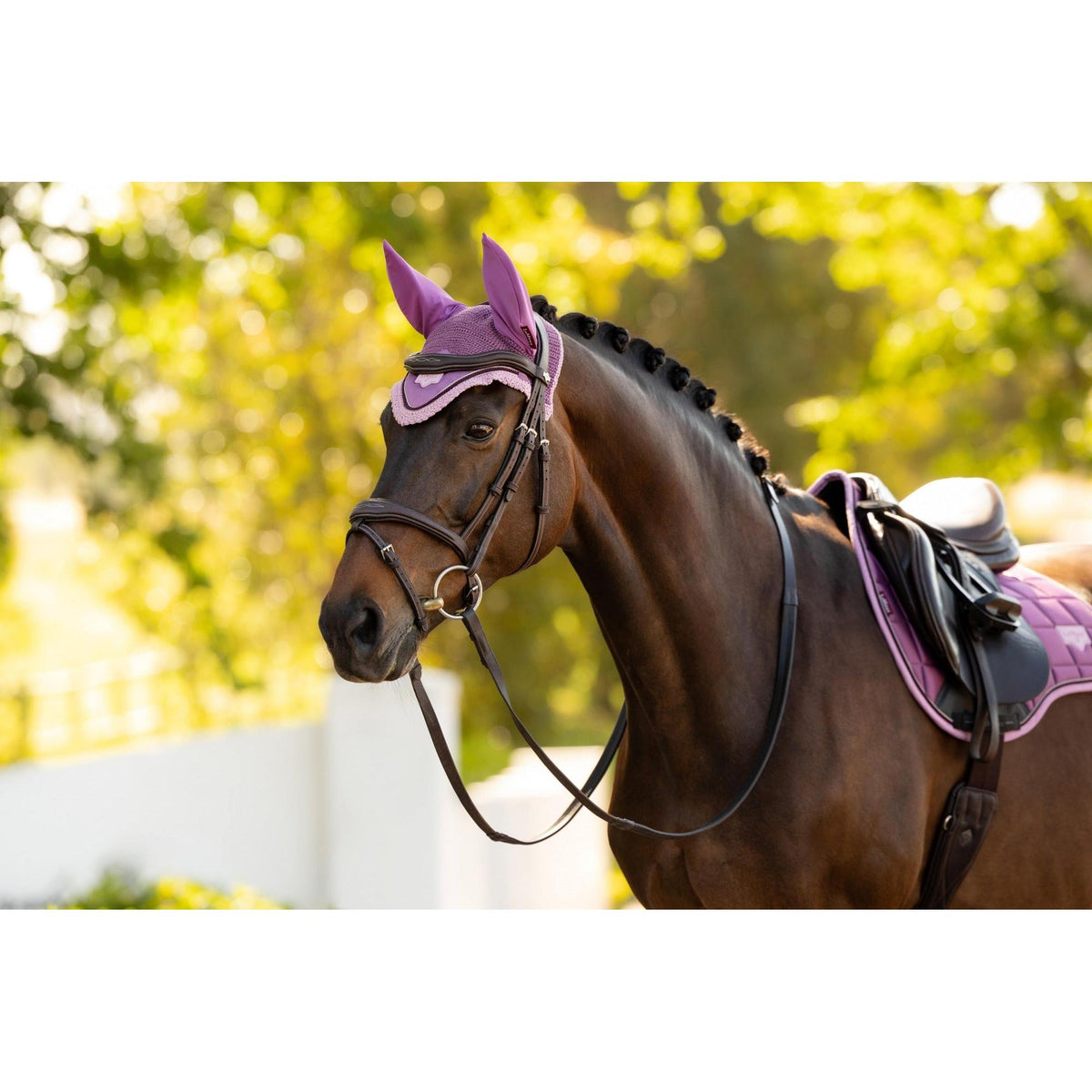 LeMieux Loire Fly Hood