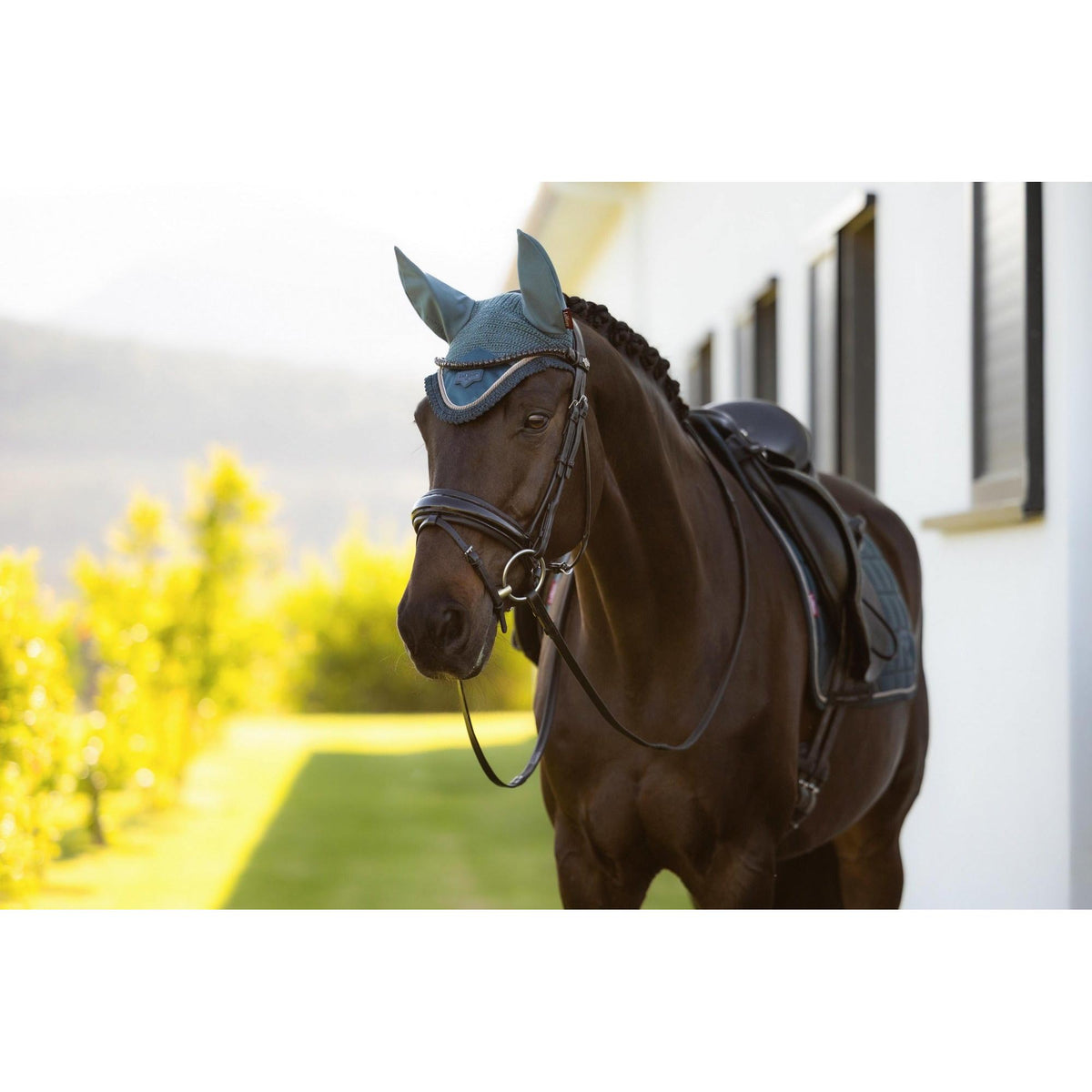 LeMieux Loire Fly Hood