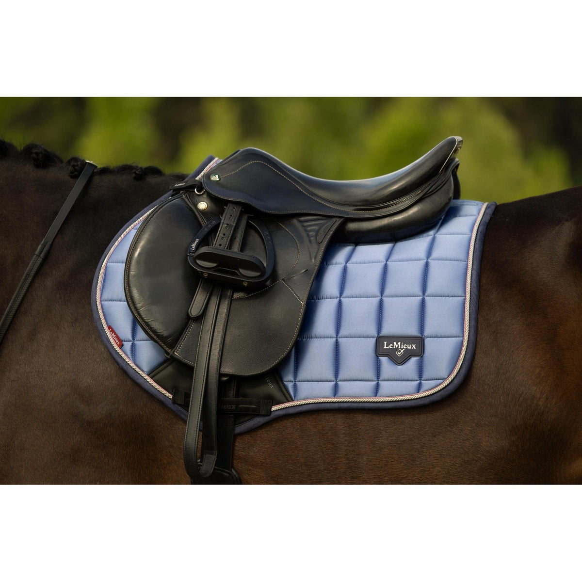 LeMieux Loire Classic Close Contact Square