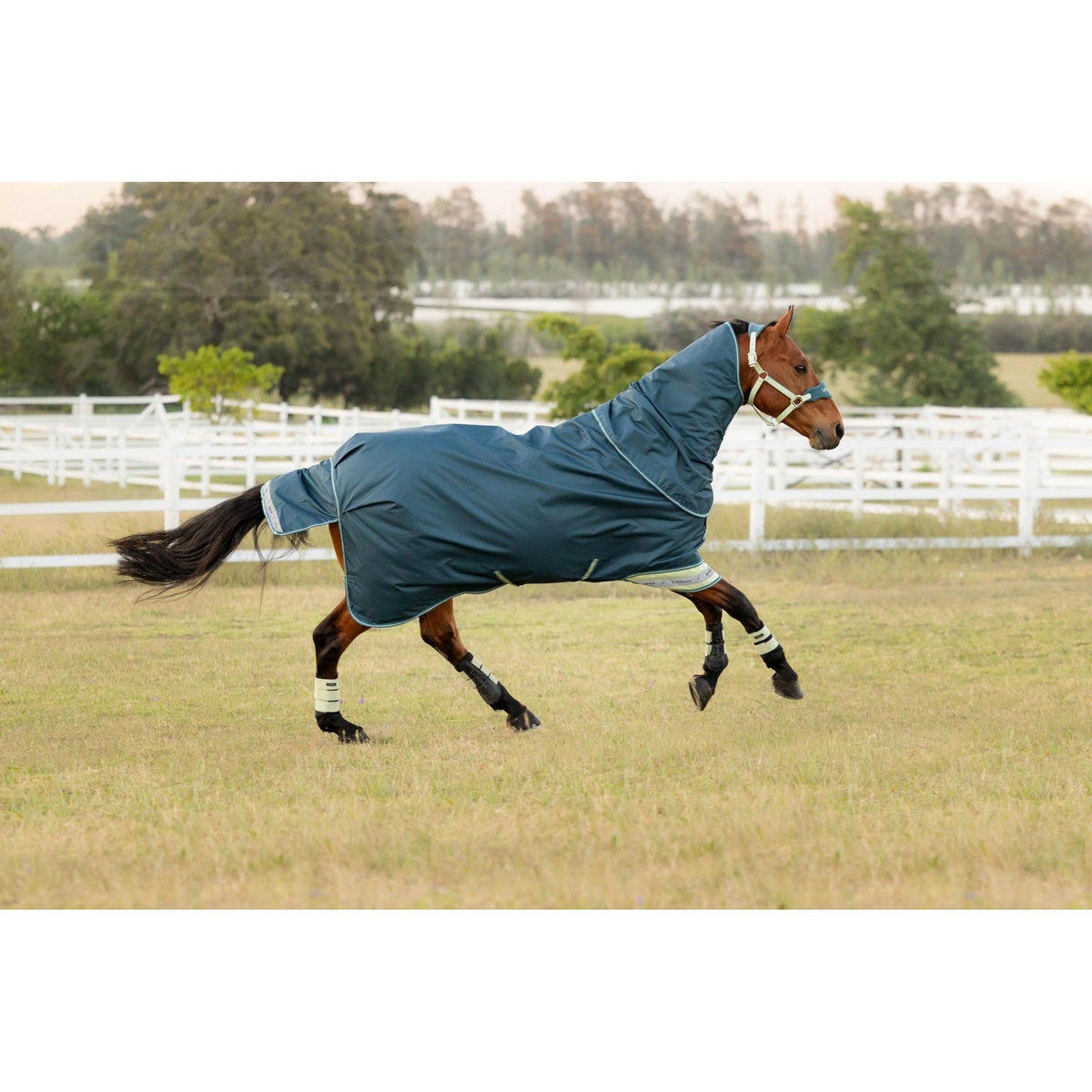 LeMieux Arika Ripstop 50G Turnout Rug