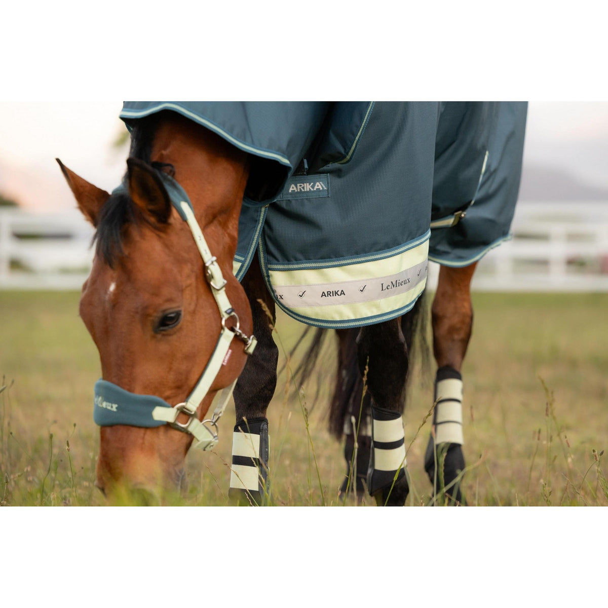LeMieux Arika Ripstop 50G Turnout Rug