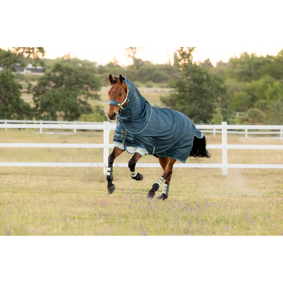 LeMieux Arika Ripstop 50G Turnout Rug