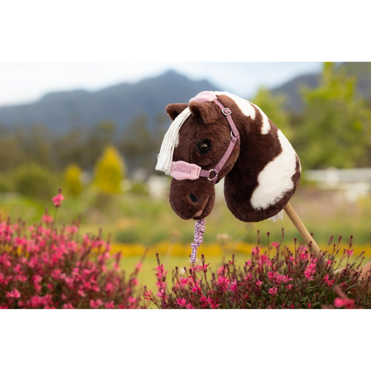 LeMieux Hobby Horse Vogue Headcollar & Leadrope