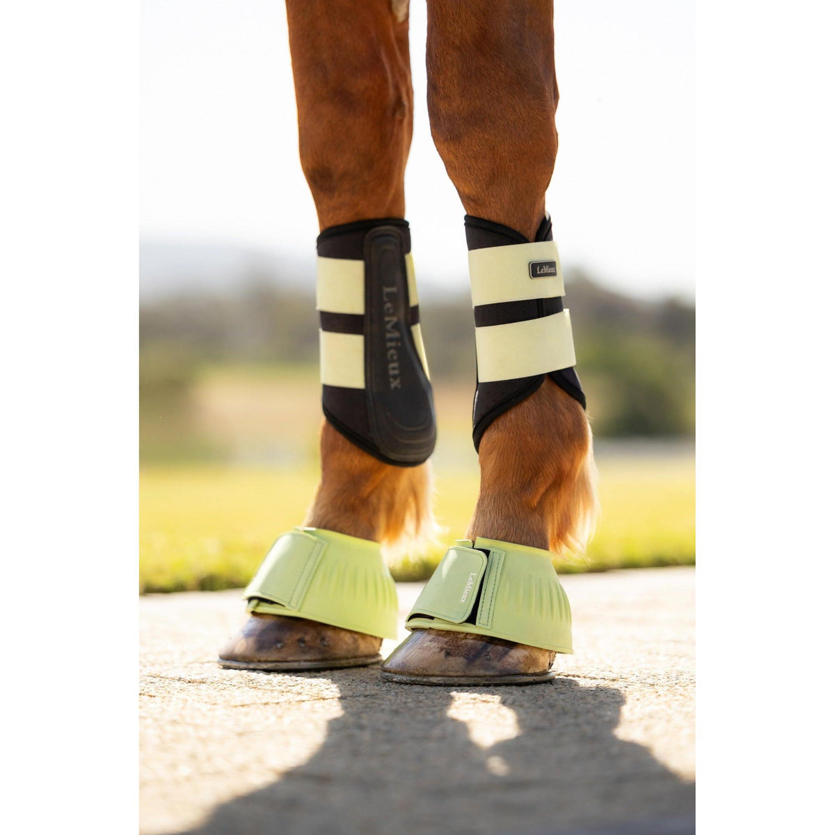LeMieux Rubber Bell Boots