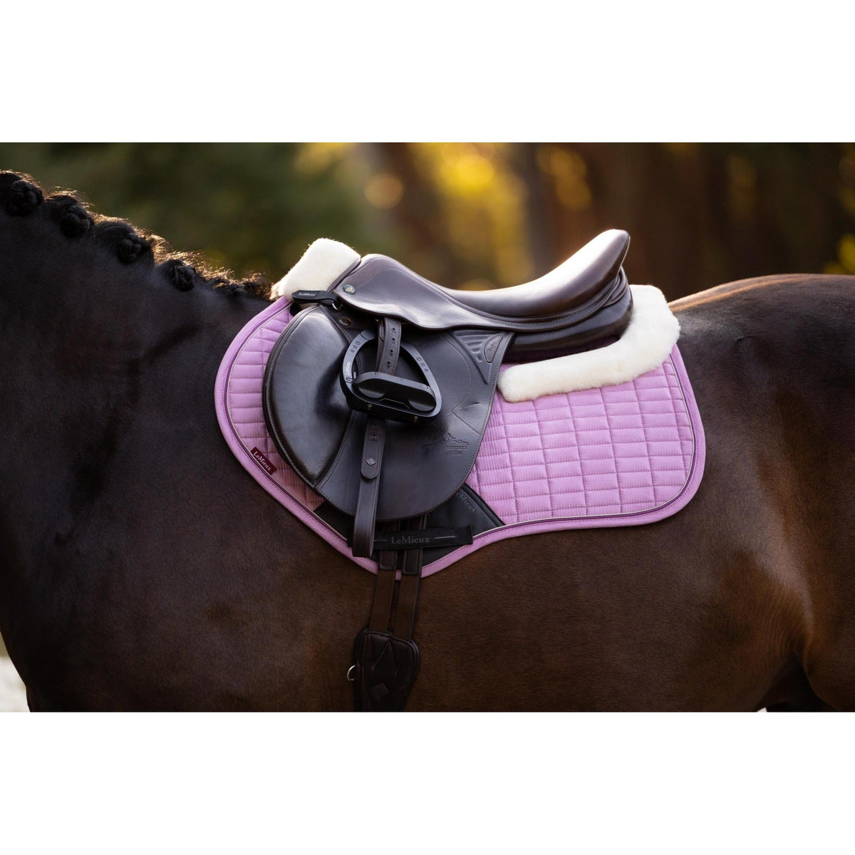 LeMieux Merino+ Suede Close Contact Square