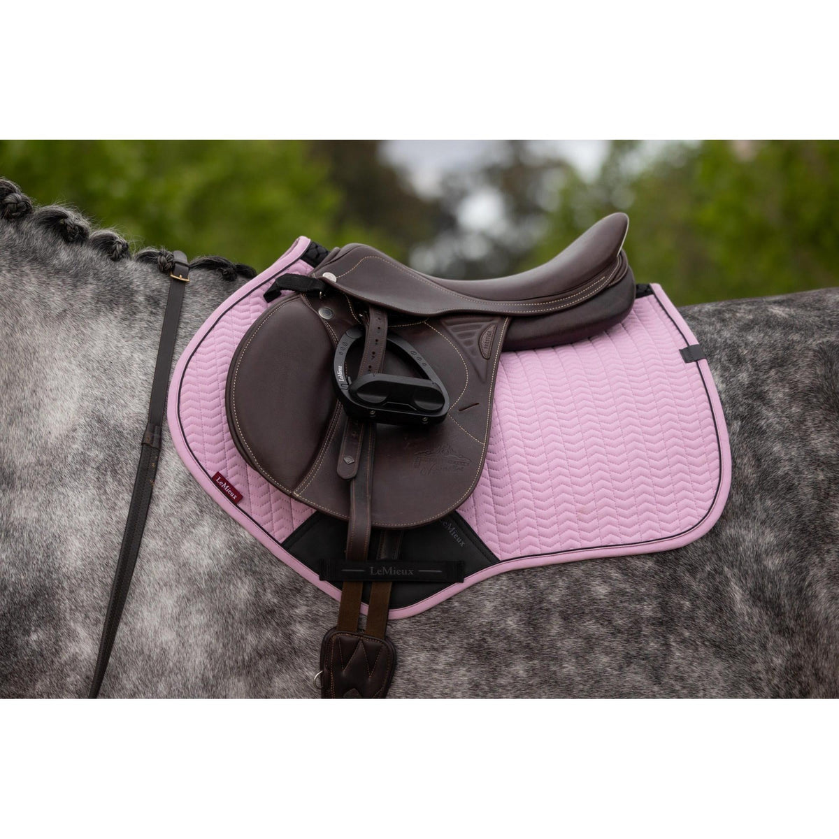 LeMieux Essence Close Contact Square