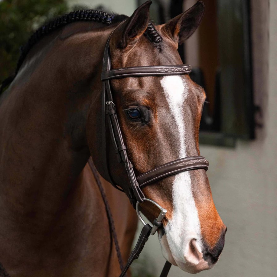 LeMieux Stitched Hunter Bridle with Laced Reins