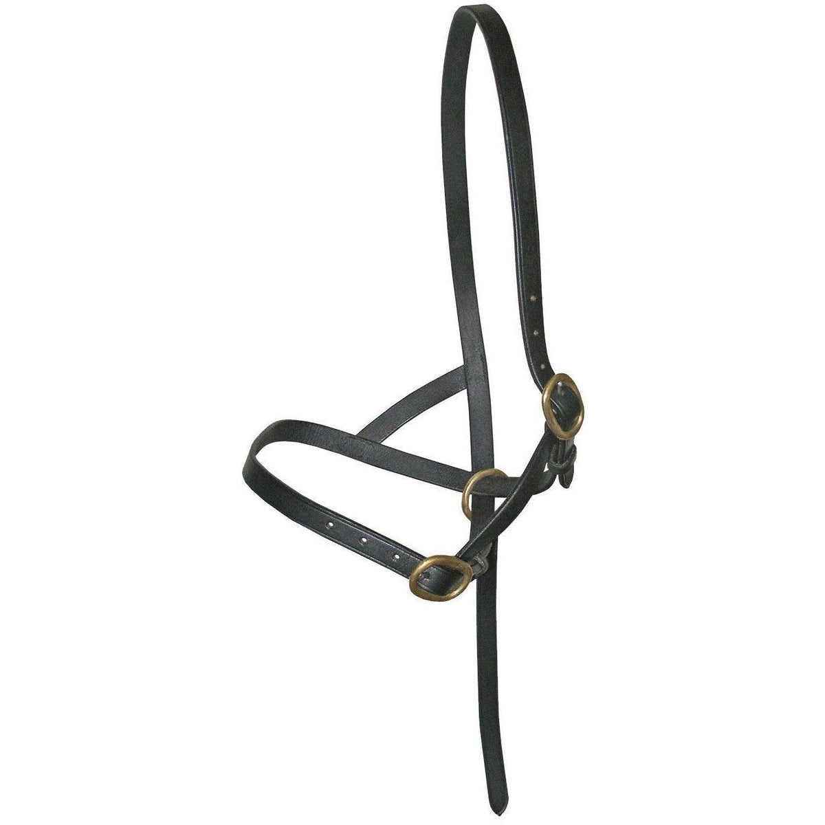 Leather Foal Slip