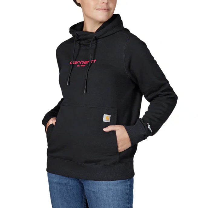 Carhartt Force Relaxed Fit Lightweight Graphic Hooded Sweatshirt