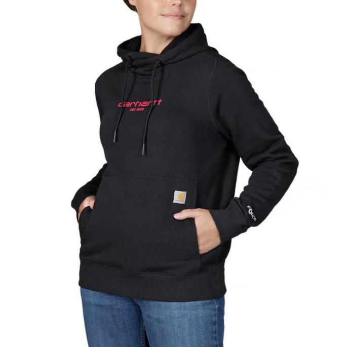 Carhartt Force Relaxed Fit Lightweight Graphic Hooded Sweatshirt