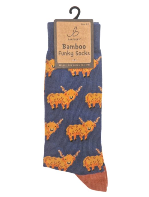 Bartleby Men's Funky Bamboo Socks
