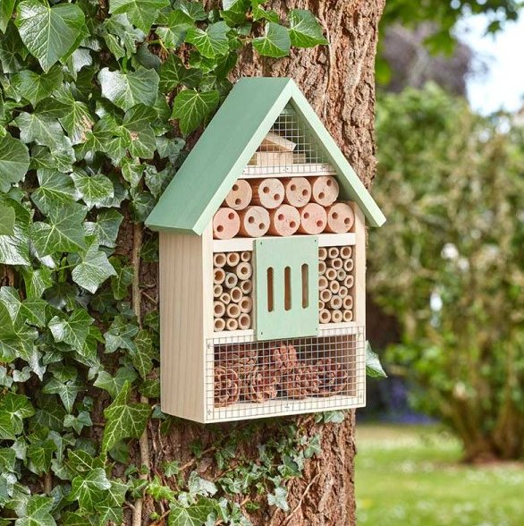 Chapel Wood Bug and Bee Habitat