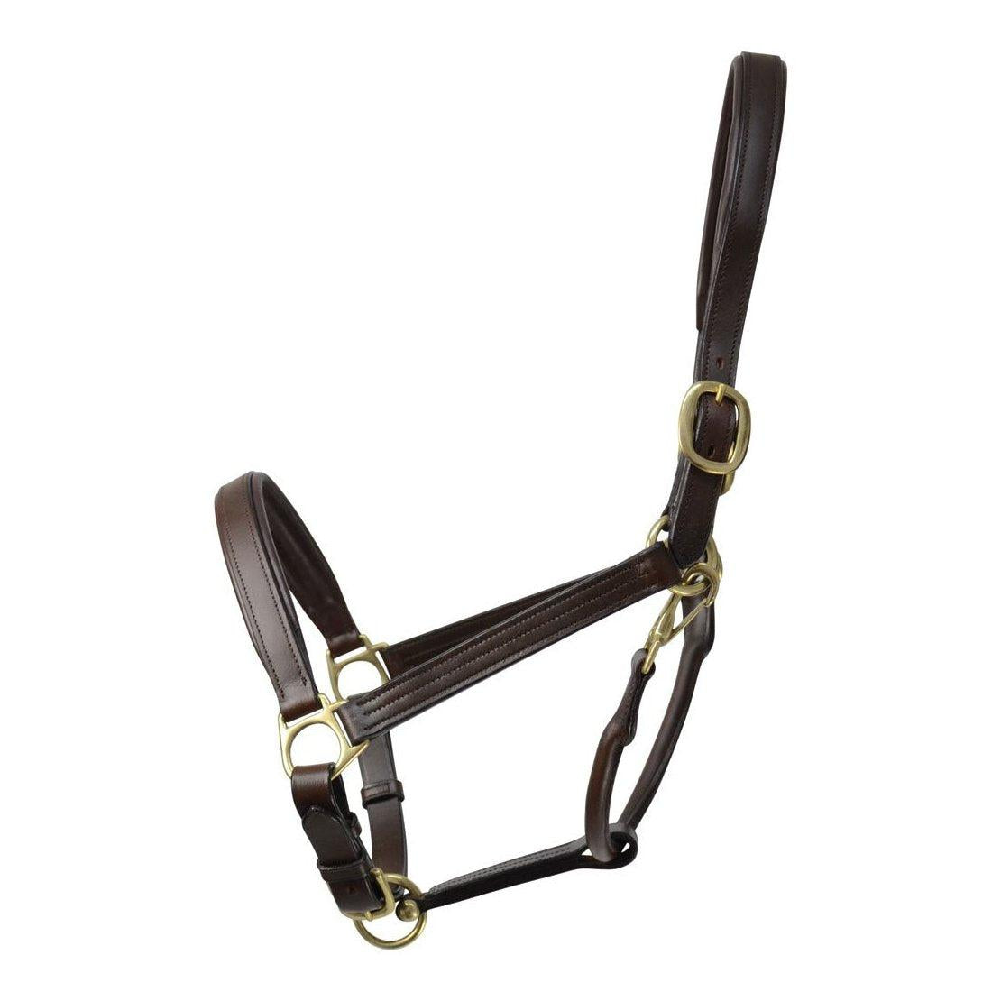 Coldstream Leather Padded Head Collar
