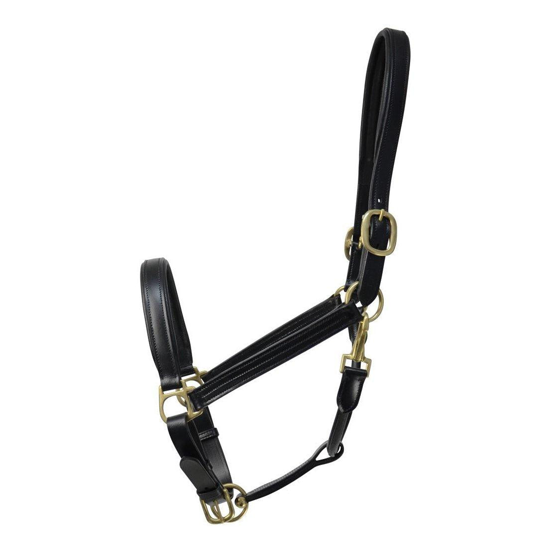 Coldstream Leather Padded Head Collar