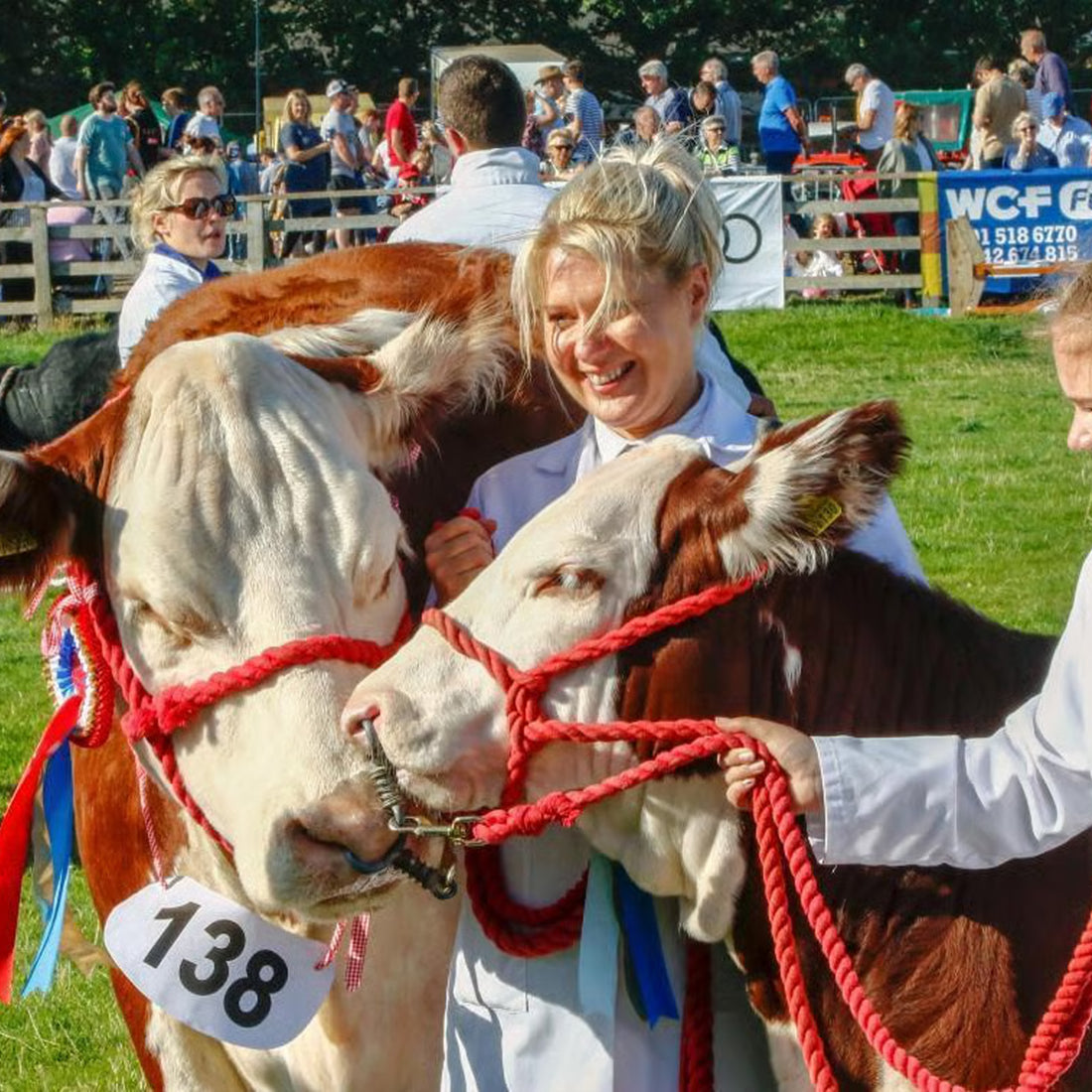 Stokesley Show