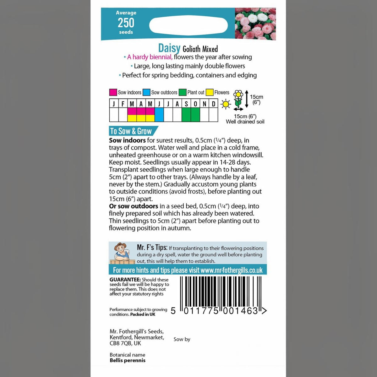 BATA LTD Fothergills Daisy Goliath Mixed seed packet with planting instructions and flower images