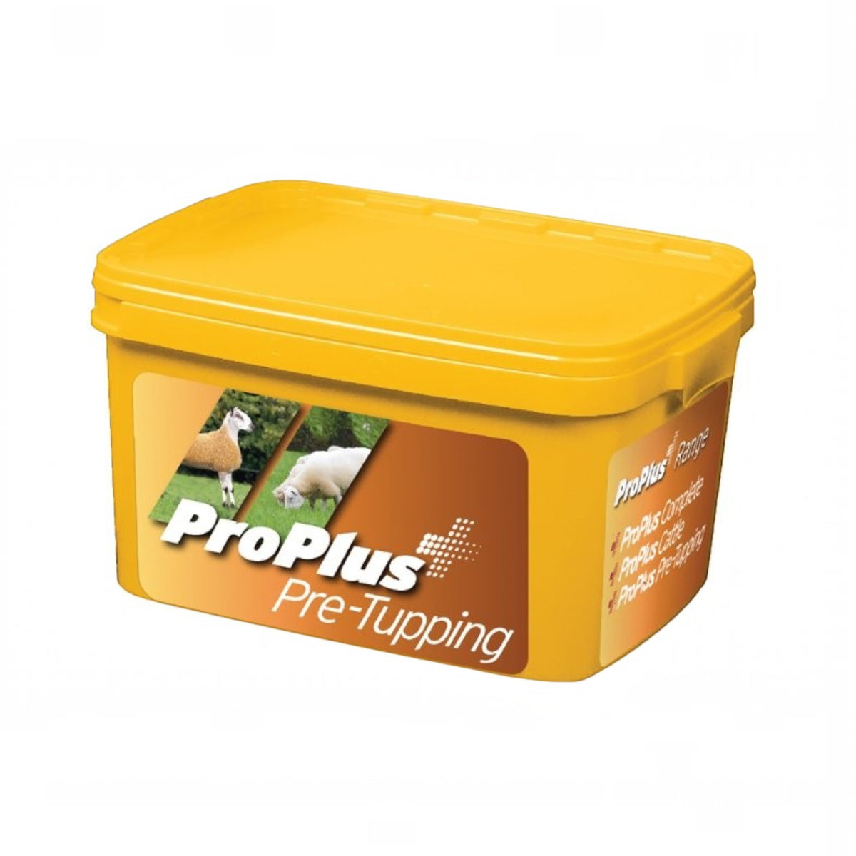 BATA LTD Pro Plus Pre Tupping 20kg livestock supplement lick in a yellow plastic tub for sheep fertility